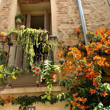 Maison Historique Rue Vermeille Argeles Sur Mer ภายนอก รูปภาพ