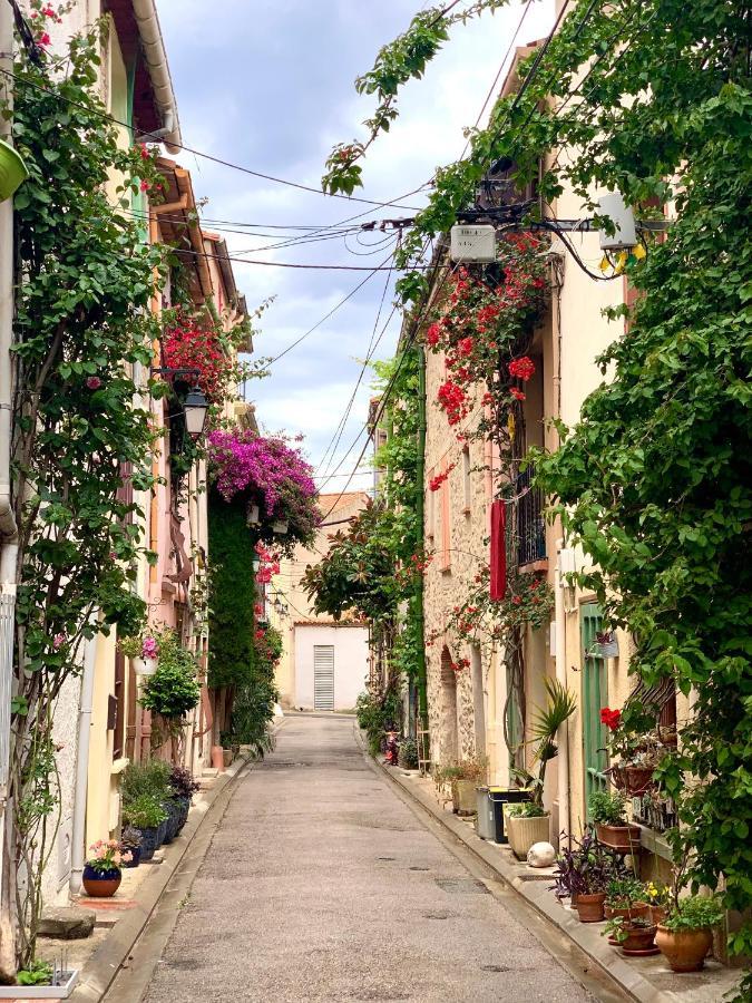 Maison Historique Rue Vermeille Argeles Sur Mer ภายนอก รูปภาพ