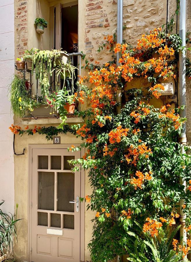 Maison Historique Rue Vermeille Argeles Sur Mer ภายนอก รูปภาพ