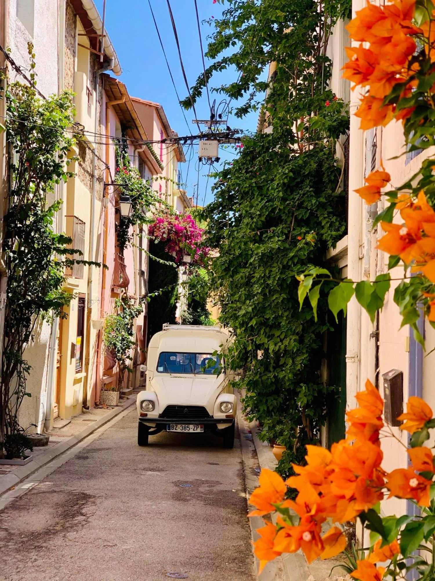 Maison Historique Rue Vermeille Argeles Sur Mer ภายนอก รูปภาพ